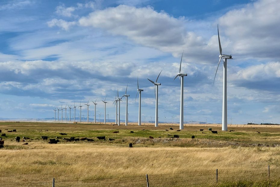 Windrise风力项目,阿尔伯塔省